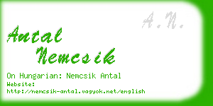 antal nemcsik business card